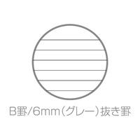 エトランジェ・ディ・コスタリカ B6リングノート［TRP］クリア SNY-B6-61 10冊（直送品）