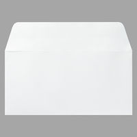 G.ラロ ヴェルジェ・ド・フランス 封筒 A4三つ折り ホワイト gl46100 1セット（50枚：25枚×2パック）
