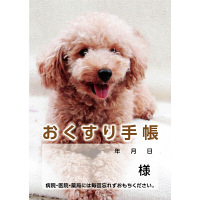 ダイオーミウラ おくすり手帳（通常）40P 犬 59351 1セット（200冊：50冊入×4包）（直送品）