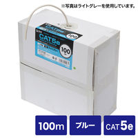 サンワサプライ カテゴリ5ｅUTP単線ケーブルのみ KB-T5-CB100BLN 1個