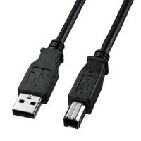 USBケーブル　USB-A（オス）USB-B（オス）　3m　USB2.0　KU20-3BKK　サンワサプライ　1本