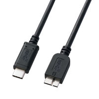 サンワサプライ USB3.1 Gen2 TypeC - microB ケーブル KU31-CMCB10 1本