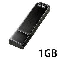 サンワサプライ USB2.0 メモリ UFD-A1G2BKK 1個（直送品）