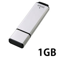 サンワサプライ USB2.0 メモリ UFD-A1G2SVK 1個（直送品）