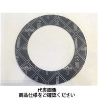 ニチアス 40X10K （1.5T） #1120 内Fパッキン 878240 1セット（5枚）（直送品）