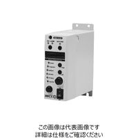 シンフォニアテクノロジー（SINFONIA） 周波数可変式デジタルコントローラ C10シリーズ C10-3VFEF（直送品）