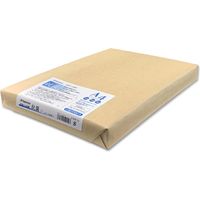 長門屋商店 抗菌和紙 A4 250枚 ナ-KW112 1セット(1000枚：250枚入×4）（直送品）