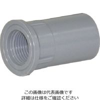 クボタ クボタケミックス TS継手 水栓ソケットTSーWS20 TSWS20 1個 857-8601（直送品）