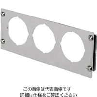 岩田製作所 圧力ゲージブラケット ストレートタイプ 3-01S