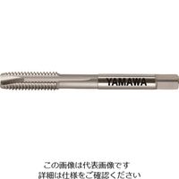 ヤマワ アルミ材用ポイントタップ（インサートコイルねじ用） AL-PO STI 1B M10X1.5 216-6540（直送品）