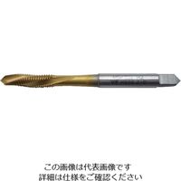 イシハシ精工 ISF TINSKHスパイラルタップ M6X1.0 TSPT-M6X1.0 1本 509-2876（直送品）