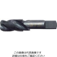 イシハシ精工 ISF スパイラル管用テーパータップ 1/4PT IS-SPT-1/4PT 1本 505-2831（直送品）