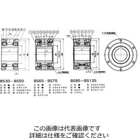 椿本チエイン カムクラッチ BSシリーズ BS110ー95E BS110-95E 1個（直送品）