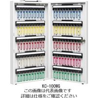 杉田エース エースキーボックス KCー100WG 161395 1台（直送品）