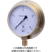 第一計器製作所 HNT汎用圧力計 BT3/8-100:0.06MPA 1個（直送品）