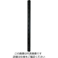 フジテック・ジャパン カラーシェルフ 支柱 ブラック 300mm 168261 1セット（4本）（直送品）