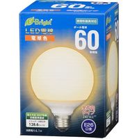 【並行輸入品】オーム電機 LED電球