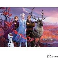 テンヨー ディズニー　ジグソーパズル　1000ピース　秘密をめぐる物語　アナと雪の女王２ D-1000-056 1セット（直送品）