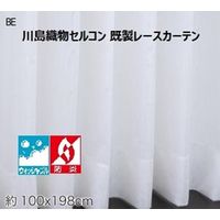 川島織物セルコン ウォッシャブル 防炎 レースカーテン DC1088S 1000×1980mm ベージュ 1枚（直送品）