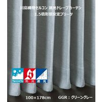 川島織物セルコン ウォッシャブル 防炎 遮光 ドレープカーテン DD1178S 1000×1780mm 1枚