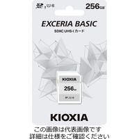 エスコ（esco） 256GB SDXCメモリーカード 1個 EA759GK-65（直送品）
