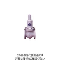 ベン RD14CN-BL減圧弁 RD14CN-BL-125A 1個（直送品）