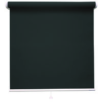 立川機工 ロールスクリーン 無地洗える TR-1517 160×140cm Ｍブラック 1台（直送品）