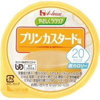 ハウス食品 やさしくラクケアシリーズ 20kcal  プリンカスタード 82973 48個 　介援隊 E0641（直送品）