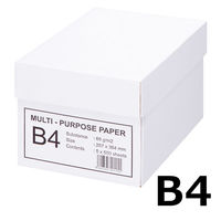エイピーピー・ジャパン マルチパーパスペーパー コピー用紙 B4（1箱5冊） IKH903
