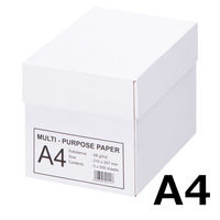 エイピーピー・ジャパン マルチパーパスペーパー コピー用紙 A4（1箱5冊） IKH901