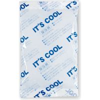 ＩＴ’Ｓ　ＣＯＯＬ　1ー１００ 372053 1ケース（160個入） 大黒工業（直送品）