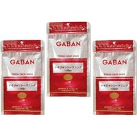 GABAN　スパイス ケイジャンシーズニング （袋）　100ｇ×3袋 【ミックススパイス　ハウス食品　香辛料　パウダー　業務用】　（直送品）