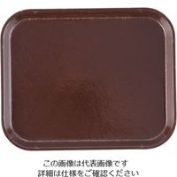 キャンブロ（CAMBRO） カムトレー（FRP）