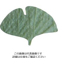 ヤマコー プチ干朴葉懐敷（緑）