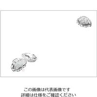 カミイソ産商 尺3 テーブルマット(100枚入) あわび No.105 1ケース(100枚) 62-6784-82（直送品）