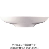 ローゼンタール RT ニド グルメプレート22cm 10920-31522 1個 62-6828-53（直送品）