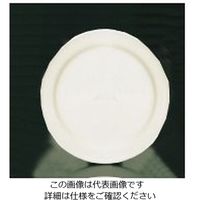 山加商店 ブライトーンBR700 ディナー皿