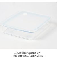 パール金属 Easy Clean 浅型密閉保存容器 L