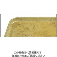 アズワン キャンブロ カムトレー 1520（528）G/C/B/G 1個 63-7172-92（直送品）