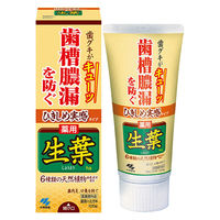 ひきしめ生葉（しょうよう） 歯槽膿漏を防ぐ 薬用ハミガキ ハーブミント味 100g 小林製薬 歯磨き粉