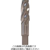 グーリングジャパン（GUHRING） グーリング PTタップ レギュラ PT1/2-14 4464 20.955 1本 181-7332（直送品）