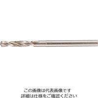 グーリングジャパン（GUHRING） グーリング マイクロドリル レギュラ 0.305mm 301 0.305 182-3026（直送品）