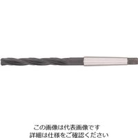 グーリングジャパン（GUHRING） グーリング コアドリル レギュラ ホモ処理 20.7mm 534 20.700 1本 180-5330（直送品）