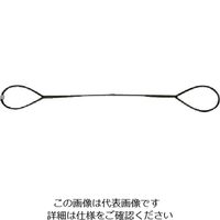 日興製綱 ニッコウ 台付けワイヤー スリング径6mm 全長 D6