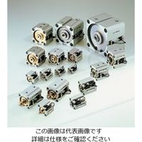 TAIYO エアーシリンダ 10Sー1RFB100N100ーG2 10S-1RFB100N100-G2 1個（直送品）