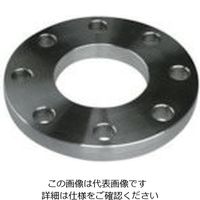 イノック さし込み溶接フランジ SUS304 FF 20K 15A 304FF20K15A 1枚 806-4254（直送品）