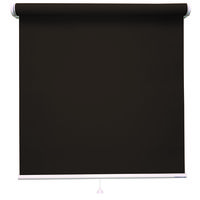 立川機工 ロールスクリーン遮光 TR-1109 180×250cm ネムロブラウン 1台（直送品）