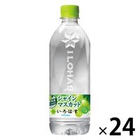 コカ・コーラ い・ろ・は・す シャインマスカット 540ml 1箱（24本入）