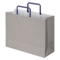 アスクルカタログリサイクル紙袋「Come bag/カムバッグ」平紐タイプ 320×250×115mm 1袋（50枚入） オリジナル