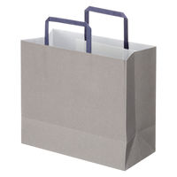 アスクルカタログリサイクル紙袋「Come bag/カムバッグ」平紐 260×230×120mm 1セット（100枚） オリジナル